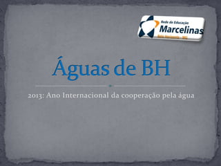 2013: Ano Internacional da cooperação pela água
 