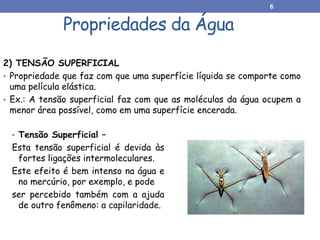 2) TENSÃO SUPERFICIAL
• Propriedade que faz com que uma superfície líquida se comporte como
uma película elástica.
• Ex.: A tensão superficial faz com que as moléculas da água ocupem a
menor área possível, como em uma superfície encerada.
Propriedades da Água
• Tensão Superficial –
Esta tensão superficial é devida às
fortes ligações intermoleculares.
Este efeito é bem intenso na água e
no mercúrio, por exemplo, e pode
ser percebido também com a ajuda
de outro fenômeno: a capilaridade.
6
 