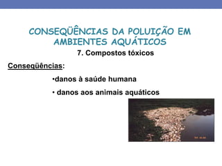 7. Compostos tóxicos
Conseqüências:
•danos à saúde humana
• danos aos animais aquáticos
CONSEQÜÊNCIAS DA POLUIÇÃO EM
AMBIENTES AQUÁTICOS
 