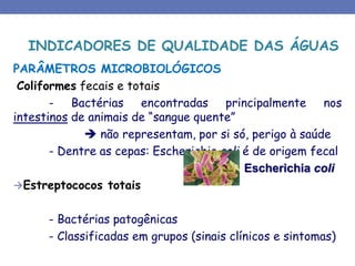 PARÂMETROS MICROBIOLÓGICOS
Coliformes fecais e totais
- Bactérias encontradas principalmente nos
intestinos de animais de “sangue quente”
 não representam, por si só, perigo à saúde
- Dentre as cepas: Escherichia coli é de origem fecal
Estreptococos totais
- Bactérias patogênicas
- Classificadas em grupos (sinais clínicos e sintomas)
Escherichia coli
INDICADORES DE QUALIDADE DAS ÁGUAS
 