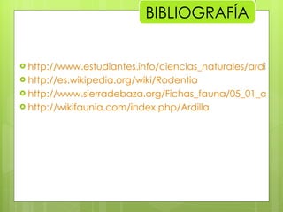 http://www.estudiantes.info/ciencias_naturales/ardillas.htm http://es.wikipedia.org/wiki/Rodentia http://www.sierradebaza.org/Fichas_fauna/05_01_ardilla/ardilla.htm http://wikifaunia.com/index.php/Ardilla BIBLIOGRAFÍA 