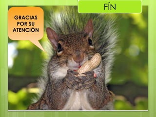 FÍN GRACIAS POR SU ATENCIÓN 