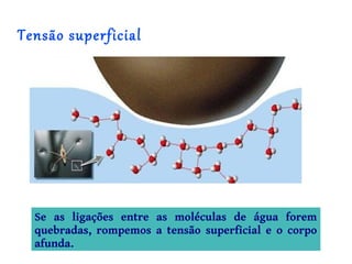 Tensão superficial




  Se as ligações entre as moléculas de água forem
  quebradas, rompemos a tensão superficial e o corpo
  afunda.
 