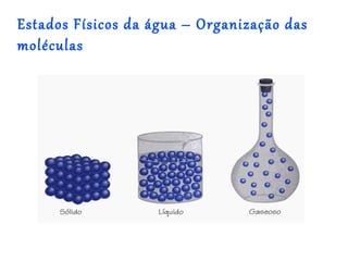 Estados Físicos da água – Organização das
moléculas
 