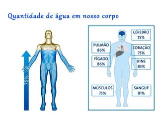 Quantidade de água em nosso corpo
 