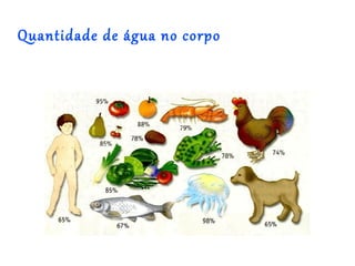 Quantidade de água no corpo
 