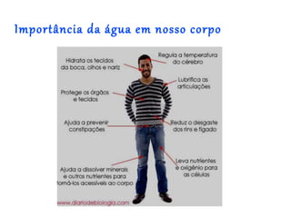 Importância da água em nosso corpo
 