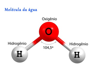 Molécula da água
 