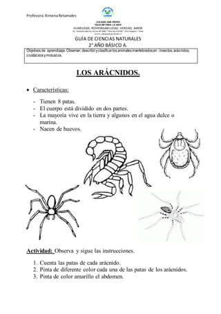 Profesora:XimenaRetamales
COLEGIO SAN PEDRO
“EDUCAR PARA LA VIDA”
HUMILDAD, RESPONSABILIDAD, VERDAD, AMOR
Av. Teniente Merino Correa Nº 4085 * fono fax 574769 * Alto Hospício * Chile
www.colegiosanpedroah.cl
GUÍA DE CIENCIAS NATURALES
2° AÑO BÁSICO A.
Objetivos de aprendizaje:Observar, describiryclasificarlos animalesinvertebradosen: insectos,arácnidos,
crustáceosymoluscos.
LOS ARÁCNIDOS.
 Características:
- Tienen 8 patas.
- El cuerpo está dividido en dos partes.
- La mayoría vive en la tierra y algunos en el agua dulce o
marina.
- Nacen de huevos.
Actividad: Observa y sigue las instrucciones.
1. Cuenta las patas de cada arácnido.
2. Pinta de diferente color cada una de las patas de los arácnidos.
3. Pinta de color amarillo el abdomen.
 