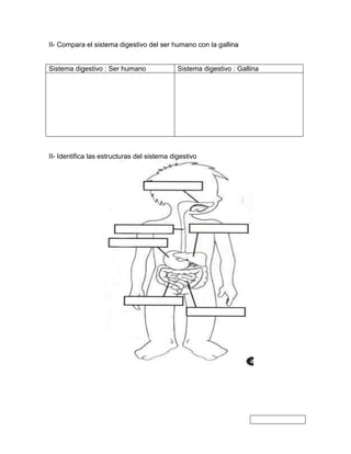II- Compara el sistema digestivo del ser humano con la gallina
Sistema digestivo : Ser humano Sistema digestivo : Gallina
II- Identifica las estructuras del sistema digestivo
 