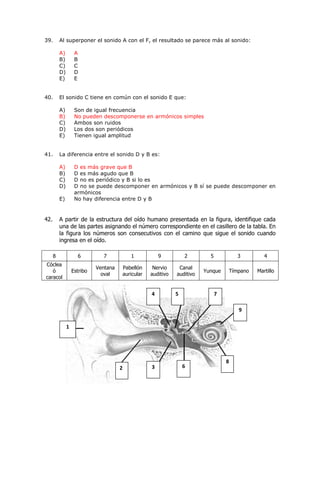 39. Al superponer el sonido A con el F, el resultado se parece más al sonido:
A) A
B) B
C) C
D) D
E) E
40. El sonido C tiene en común con el sonido E que:
A) Son de igual frecuencia
B) No pueden descomponerse en armónicos simples
C) Ambos son ruidos
D) Los dos son periódicos
E) Tienen igual amplitud
41. La diferencia entre el sonido D y B es:
A) D es más grave que B
B) D es más agudo que B
C) D no es periódico y B si lo es
D) D no se puede descomponer en armónicos y B sí se puede descomponer en
armónicos
E) No hay diferencia entre D y B
42. A partir de la estructura del oído humano presentada en la figura, identifique cada
una de las partes asignando el número correspondiente en el casillero de la tabla. En
la figura los números son consecutivos con el camino que sigue el sonido cuando
ingresa en el oído.
8 6 7 1 9 2 5 3 4
Cóclea
ó
caracol
Estribo
Ventana
oval
Pabellón
auricular
Nervio
auditivo
Canal
auditivo
Yunque Tímpano Martillo
4 5 7
9
8
3 6
1
2
 