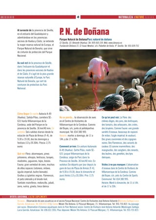 ❙ ❙❙ ❙ ❙ ❙ ❙ ❙ ❙ ❙                                                                      49                                        MONUMENTOS ❙ ❙NATURE      
                                                                                                                                         NATURALEZA MONUMENTS



                     Al suroeste de la provincia de Sevilla,
                     en el estuario del Guadalquivir y
                     adentrándose en las provincias
                                                                    P N. de Doñana
                                                                     .
                                                                    Parque Natural de Doñana/Parc naturel de doñana
                     vecinas de Huelva y Cádiz, se extiende
                                                                    C/ Sevilla, 33. Almonte (Huelva). Tel: 959 450 159. Web: www.donana.es
                     la mayor reserva natural de Europa, el         Fundación Doñana 21. C/ Isaac Newton, s/n. Pabellón de Italia, 4ª. Sevilla. Tel: 955 039 751
                     Parque Natural de Donaña, que sirve
                     de cinturón de protección del Parque
                     Nacional.

                     Au sud-est de la province de Séville,
                     dans l’estuaire du Guadalquivir et
                     dans les provinces voisines de Huelva
                     et de Cádiz. Il s’agit de la plus grande
                     réserve naturelle d’Europe, le Parc
                     Naturel de Donaña, qui sert de
                     ceinturon de protection du Parc
                     National.




                     Cómo llegar En coche Autovía A-49
                     (Huelva). Salida Pilas, carretera SE-          No se pierda... la observación de aves          Ce qu’on peut voir. La Flore: des
                     631 hasta Villamanrique de la                  en el Centro de Visitantes de                   chênes-lièges, des pins, des lentisques,
                     Condesa, sede del Parque en la                 Villamanrique de la Condesa. Camino             des tamaris, des arbousiers, des cistes,
                     provincia de Sevilla. 36 km/40 min. En         del Bujeo, s/n, junto al polideportivo          des bruyères. Comme Faune: une grande
                     autobús Seis salidas diarias desde la          municipal. Tel: 654 380 995                     variété d’oiseaux, beaucoup de rapaces
                     estación de Plaza de Armas (F-4), de           Horario. martes a domingo, de 11 a              (le milan, l’aigle impérial, le vautour).
                     9.30 a 19.30, dos los domingos y               14h. y de 17 a 20h.                             Des grues couronnées et des cigognes
                     festivos (13 y 20.30h). Precio: 2,75                                                           noires. Des Flamencos, des canards de
                     euros                                          Comment arriver. En voiture Autoroute           couleur. Et comme mammifères: des
                                                                    A-49 (Huelva). Sortie Pilas, route SE-          mangoustes, des sangliers, des renards,
                     Qué ver Flora: alcornoques, pinos              631 jusque Villamanrique de la                  des loutres, des genettes, des lynx
                     piñoneros, almajos, lentiscos, tarayes,        Condesa, siège du Parc dans la                  ibériques.
                     madroños, jaguarzos, tojos, brezos.            Province de Séville. 36 km/40 min. En
                     Fauna: gran variedad de aves, muchas           autobus Six départs par jour depuis la          Visites à ne pas manquer. L’observation
                     de ellas rapaces (ratonero, milano,            gare de bus de Plaza de Armas (F-4),            d’oiseaux dans le Centre de Visiteurs de
                     águila imperial, buitre leonado).              de 9.30 à 19.30, deux le dimanche et            Villamanrique de la Condesa. Camino
                     Grullas y cigüeñas negras. Flamencos,          jours fériés (13 y 20.30h). Prix: 2,75          del Bujeo, s/n, près du Centre de Sports
                     el pato colorado y el ánade real.              euros                                           Communal. Tel: 654 380 995.
                     También mamíferos: meloncillo, jabalí,                                                         Horaire. Mardi à dimanche, de 11 à 14h.
                     zorro, nutria, gineta, lince ibérico                                                           et de 17 à 20h.


         OFERTA ADICIONAL ❙ ALTRI SUPLIMENTI
                     De paso... Observación de aves acuáticas en el vecino Parque Nacional: Centro de Visitantes José Antonio Valverde (Marisma Gallega Lucio
                     Garrido. Aznalcázar. Tel: 696 651 205). Comer Mesón Tito Antonio. C/ Pascual Márquez, 71. Villamanrique. Tel: 955 755 823 Au passage
                     voir aussi. Observation d’oiseaux aquatiques dans le Parc National voisin: Centre de Visiteurs José Antonio Valverde (Marécages Gallega
                     Lucio Garrido. Aznalcázar. Tel: 696 651 205). Pour déjeuner: Mesón Tito Antonio. C/ Pascual Márquez, 71. Villamanrique. Tel: 955 755 823.
 