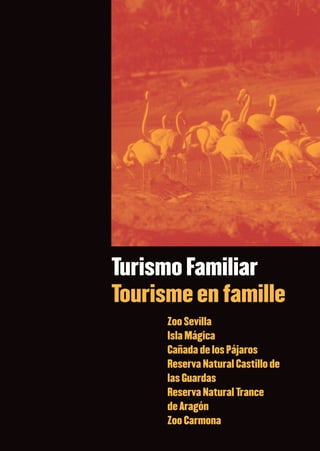 Turismo Familiar
Tourisme en famille
      Zoo Sevilla
      Isla Mágica
      Cañada de los Pájaros
      Reserva Natural Castillo de
      las Guardas
      Reserva Natural Trance
      de Aragón
      Zoo Carmona
 