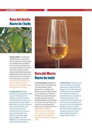       GASTRONOMÍA ❙ GASTRONOMIE                                      74                                                                ❙ ❙ ❙ ❙ ❙ ❙ ❙ ❙❙




            Ruta del Aceite
            Route de l´huile




            El olivar sevillano comprende casi
            200.000 hectáreas, ocupa el tercer
            lugar en producción nacional y cuenta
            con una extraordinaria variedad de
            aceites, fruto de su distinción entre
            nueve tipos de aceitunas. Pero, sobre
            todo, el olivo compone una de las
            señas de identidad de la provincia de
            Sevilla desde hace miles de años. Una       Ruta del Mosto
            ruta turística recorre los municipios
            más identificados con este cultivo:         Route du moût
            Dos Hermanas, Pilas, Morón, Arahal,
            Utrera, Los Molares, El Coronil,            La cercana comarca del Aljarafe ha         La région proche de Aljarafe a mis en
            Montellano, Coripe, Marchena, Osuna,        puesto en valor una variedad del vino      valeur une variété de vin qui depuis
            Estepa y La Roda de Andalucía.              que, desde noviembre, puede                novembre peut se déguster dans les
                                                        degustarse en sus bodegas. Para            bodegas. Pour faire cette route il faut
            La culture d’olivier de Séville             realizar esta ruta sólo hay que recorrer   seulement parcourir les 5 kilomètres
            comprend quasi 200.000 hectares, elle       los cinco kilómetros por la autovía A-     par l’autoroute A-49 (Huelva) qui
            occupe la troisième place de la             49 (Huelva) que separan Bormujos de        séparent Bormujos de la capitale. De
            production nationale et jouit d’une         la capital, puesto que desde esta          cette localité aljarafeña on peut
            variété extraordinaire d’huiles, qui se     localidad aljarafeña se puede conectar     rejoindre les autres berceaux du moût
            distinguent par neuf types d’olives.        con las otras cunas del mosto que se       qui se trouvent à peu de distance par
            Mais l’olivier est un signe d’identité de   encuentran a pocos kilómetros de           les routes A-474 y A-472 : Bollullos de
            la province de Séville depuis des           distancia por las carreteras A-474 y A-    la Mitación, Espartinas, Umbrete,
            milliers d’années. Une route                472: Bollullos de la Mitación,             Villanueva del Ariscal, Valencina de la
            touristique parcourt les communes           Espartinas, Umbrete, Villanueva del        Concepción, Benacazón, Olivares,
            typiques de cette culture : Dos             Ariscal, Valencina de la Concepción,       Sanlúcar la Mayor, Mairena del
            Hermanas, Pilas, Morón, Arahal,             Benacazón, Olivares, Sanlúcar la           Aljarafe, Palomares del Río.
            Utrera, Los Molares, El Coronil,            Mayor, Mairena del Aljarafe, Palomares
            Montellano, Coripe, Marchena, Osuna,        del Río.
            Estepa et La Roda de Andalucía.
 