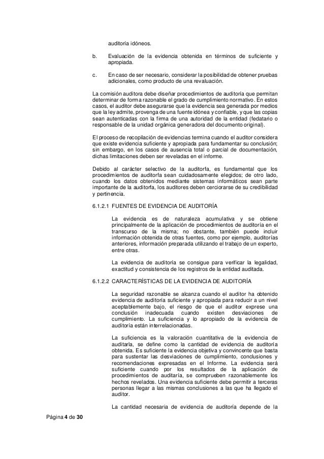 Guia De Tecnicas De Auditoria