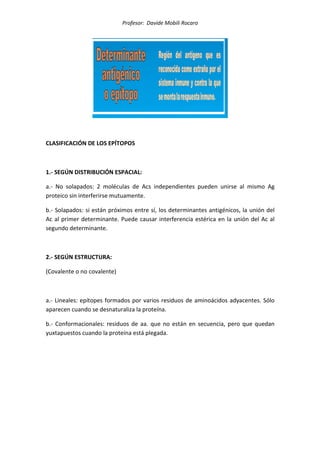 Profesor: Davide Mobili Rocaro
CLASIFICACIÓN DE LOS EPÍTOPOS
1.- SEGÚN DISTRIBUCIÓN ESPACIAL:
a.- No solapados: 2 moléculas de Acs independientes pueden unirse al mismo Ag
proteico sin interferirse mutuamente.
b.- Solapados: si están próximos entre sí, los determinantes antigénicos, la unión del
Ac al primer determinante. Puede causar interferencia estérica en la unión del Ac al
segundo determinante.
2.- SEGÚN ESTRUCTURA:
(Covalente o no covalente)
a.- Lineales: epítopes formados por varios residuos de aminoácidos adyacentes. Sólo
aparecen cuando se desnaturaliza la proteína.
b.- Conformacionales: residuos de aa. que no están en secuencia, pero que quedan
yuxtapuestos cuando la proteína está plegada.
 