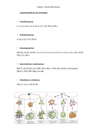 Profesor: Davide Mobili Rocaro
CLASIFICACIÓN DE LAS CITOCINAS
• Proinflamatorias
IL-1, IL-6, IL-8, IL-12, IL-16, IL-17, IL-18, TNF-α, INF-γ
• Antiinflamatorias
IL-10, IL-13, IL-14, TGF-β
• Hematopoyéticas
GM-CSF, G-CSF, M-GSF, IL-1, IL-2, IL-3, IL-4, IL-5, IL-6, IL-7, IL-9, IL-11, c-Kit, TGF-β,
TNF, LT-α, INF-γ
• Quimiotácticas o Quimiocinas
MIP-3α
y β, DC-CK1, SLC, TARC, SDF1, BCA 1, TECK, BLC, Rantes, Il-8, Eotaxina,
MCP1-5, IP10, MIP-1αβγ, Gro αβγ
• Citostáticas y citotóxicas
TNF, LT- α, IL-1, TGF-β, INF
 