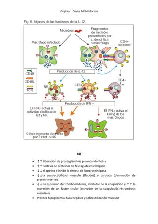 Profesor: Davide Mobili Rocaro
TNF
• ↑↑ liberación de prostaglandinas provocando ﬁebre
• ↑↑ síntesis de proteinas de fase aguda en el hígado
• ↓↓el ape_to e inhibe la sintesis de lipoproteinlipasa
• ↓↓la contrac_bilidad muscular (ﬂacidez) y cardíaca (disminución de
presión arterial)
• ↓↓ la expresión de trombomodulina, inhibidor de la coagulación y ↑↑ la
expresión de un factor tisular (activador de la coagulación)→trombosis
vasculares
• Provoca hipoglicemia: falla hepática y sobreutilización muscular
 