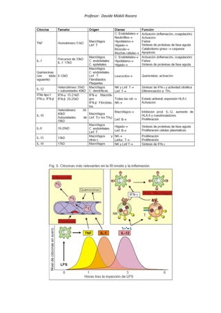 Profesor: Davide Mobili Rocaro
 