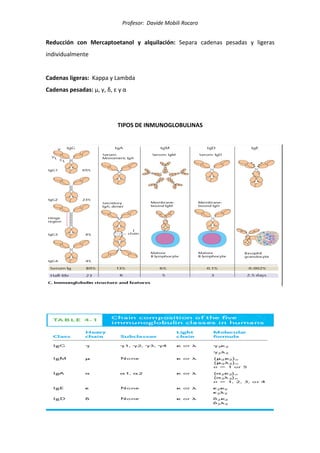 Profesor: Davide Mobili Rocaro
Reducción con Mercaptoetanol y alquilación: Separa cadenas pesadas y ligeras
individualmente
Cadenas ligeras: Kappa y Lambda
Cadenas pesadas: μ, γ, δ, ε y α
TIPOS DE INMUNOGLOBULINAS
 