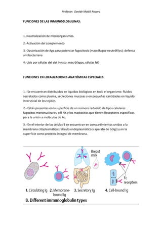 Profesor: Davide Mobili Rocaro
FUNCIONES DE LAS INMUNOGLOBULINAS:
1. Neutralización de microorganismos.
2.-Activación del complemento
3.-Opsonización de Ags para potenciar fagocitosis (macrófagos-neutrófilos): defensa
antibacteriana
4.-Lisis por células del sist innato: macrófagos, células NK
FUNCIONES EN LOCALIZACIONES ANATÓMICAS ESPECIALES:
1.- Se encuentran distribuidos en líquidos biológicos en todo el organismo: fluidos
secretados como plasma, secreciones mucosas y en pequeñas cantidades en líquido
intersticial de los tejidos.
2.- Están presentes en la superficie de un número reducido de tipos celulares:
fagocitos mononucleares, cél NK y los mastocitos que tienen Receptores específicos
para la unión a moléculas de Ac.
3.- En el interior de las células B se encuentran en compartimientos unidos a la
membrana citoplasmática (retículo endoplasmático y aparato de Golgi) y en la
superficie como proteína integral de membrana.
 