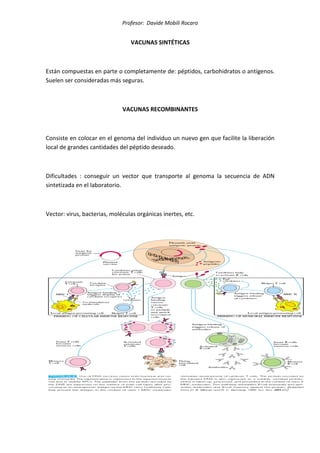 Profesor: Davide Mobili Rocaro
VACUNAS SINTÉTICAS
Están compuestas en parte o completamente de: péptidos, carbohidratos o antígenos.
Suelen ser consideradas más seguras.
VACUNAS RECOMBINANTES
Consiste en colocar en el genoma del individuo un nuevo gen que facilite la liberación
local de grandes cantidades del péptido deseado.
Dificultades : conseguir un vector que transporte al genoma la secuencia de ADN
sintetizada en el laboratorio.
Vector: virus, bacterias, moléculas orgánicas inertes, etc.
 