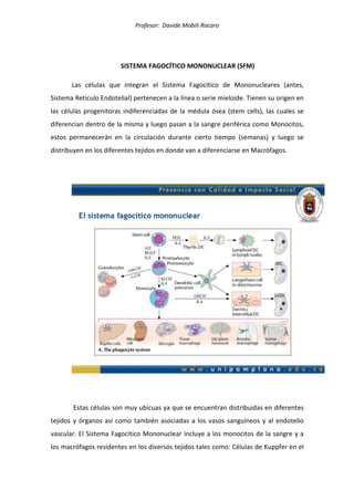 Profesor: Davide Mobili Rocaro
SISTEMA FAGOCÍTICO MONONUCLEAR (SFM)
Las células que integran el Sistema Fagocítico de Mononucleares (antes,
Sistema Retículo Endotelial) pertenecen a la línea o serie mieloide. Tienen su origen en
las células progenitoras indiferenciadas de la médula ósea (stem cells), las cuales se
diferencian dentro de la misma y luego pasan a la sangre periférica como Monocitos,
estos permanecerán en la circulación durante cierto tiempo (semanas) y luego se
distribuyen en los diferentes tejidos en donde van a diferenciarse en Macrófagos.
Estas células son muy ubicuas ya que se encuentran distribuidas en diferentes
tejidos y órganos así como también asociadas a los vasos sanguíneos y al endotelio
vascular. El Sistema Fagocítico Mononuclear incluye a los monocitos de la sangre y a
los macrófagos residentes en los diversos tejidos tales como: Células de Kuppfer en el
 