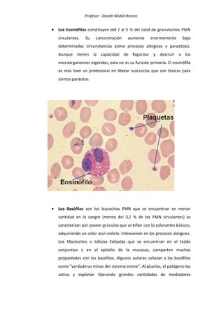 Profesor: Davide Mobili Rocaro
• Los Eosinófilos constituyen del 2 al 5 % del total de granulocitos PMN
circulantes. Su concentración aumenta enormemente bajo
determinadas circunstancias como procesos alérgicos y parasitosis.
Aunque tienen la capacidad de fagocitar y destruir a los
microorganismos ingeridos, esta no es su función primaria. El eosinófilo
es más bien un profesional en liberar sustancias que son tóxicas para
ciertos parásitos.
• Los Basófilos son los leucocitos PMN que se encuentran en menor
cantidad en la sangre (menos del 0,2 % de los PMN circulantes) se
caracterizan por poseer gránulos que se tiñen con lo colorantes básicos,
adquiriendo un color azul-violeta. Intervienen en los procesos alérgicos.
Los Mastocitos o Células Cebadas que se encuentran en el tejido
conjuntivo y en el epitelio de la mucosas, comparten muchas
propiedades con los basófilos. Algunos autores señalan a los basófilos
como "verdaderas minas del sistema inmne". Al pisarlas, el patógeno las
activa y explotan liberando grandes cantidades de mediadores
 