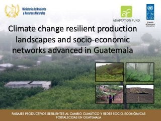 Climate change resilient production
landscapes and socio-economic
networks advanced in Guatemala
 