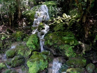 Água Doce
 