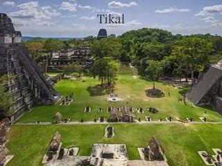Tikal
 