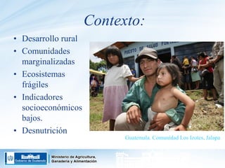 Guatemala - Programa de agricultura familiar y centros de aprendizaje para el desarrollo rural