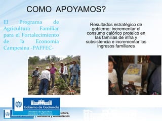 Guatemala - Programa de agricultura familiar y centros de aprendizaje para el desarrollo rural