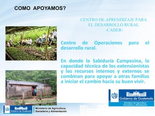 Guatemala - Programa de agricultura familiar y centros de aprendizaje para el desarrollo rural