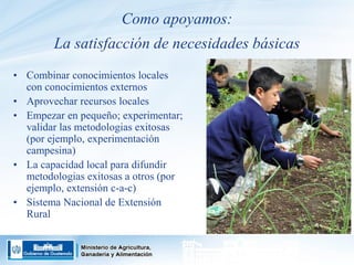 Guatemala - Programa de agricultura familiar y centros de aprendizaje para el desarrollo rural