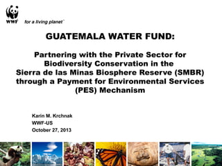 GUATEMALA WATER FUND:
Partnering with the Private Sector for
Biodiversity Conservation in the
Sierra de las Minas Biosphere Reserve (SMBR)
through a Payment for Environmental Services
(PES) Mechanism
Karin M. Krchnak
WWF-US
October 27, 2013

 