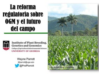 La reforma
regulatoria sobre
OGM y el futuro
del campo
Wayne Parrott
Wparrott@uga.edu
@ProfParrott
Foto de MM Roca, Zamorano
 