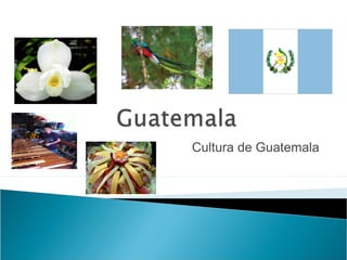 Cultura de Guatemala
 