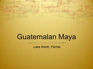 Guatemalan Maya
Lake Worth, Florida
 