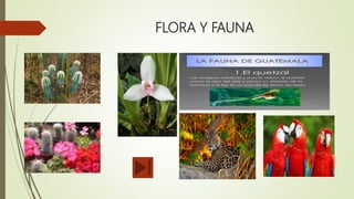 FLORA Y FAUNA
 
