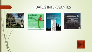 DATOS INTERESANTES
 