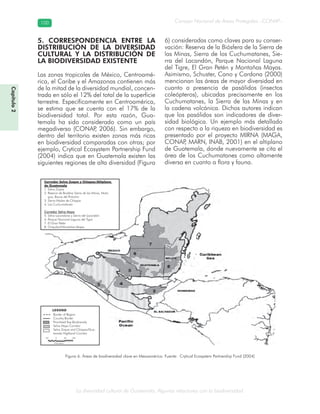 La diversidad cultural de Guatemala. Algunas relaciones con la biodiversidad
Consejo Nacional de Áreas Protegidas –CONAP–100100
Capítulo2
5. CORRESPONDENCIA ENTRE LA
DISTRIBUCIÓN DE LA DIVERSIDAD
CULTURAL Y LA DISTRIBUCIÓN DE
LA BIODIVERSIDAD EXISTENTE
Las zonas tropicales de México, Centroamé-
rica, el Caribe y el Amazonas contienen más
de la mitad de la diversidad mundial, concen-
trada en sólo el 12% del total de la superficie
terrestre. Específicamente en Centroamérica,
se estima que se cuenta con el 17% de la
biodiversidad total. Por esta razón, Gua-
temala ha sido considerado como un país
megadiverso (CONAP, 2006). Sin embargo,
dentro del territorio existen zonas más ricas
en biodiversidad comparadas con otras; por
ejemplo, Crytical Ecosystem Partnership Fund
(2004) indica que en Guatemala existen las
siguientes regiones de alta diversidad (Figura
6) consideradas como claves para su conser-
vación: Reserva de la Biósfera de la Sierra de
las Minas, Sierra de los Cuchumatanes, Sie-
rra del Lacandón, Parque Nacional Laguna
del Tigre, El Gran Petén y Montañas Mayas.
Asimismo, Schuster, Cano y Cardona (2000)
mencionan las áreas de mayor diversidad en
cuanto a presencia de pasálidos (insectos
coleópteros), ubicadas precisamente en los
Cuchumatanes, la Sierra de las Minas y en
la cadena volcánica. Dichos autores indican
que los pasálidos son indicadores de diver-
sidad biológica. Un ejemplo más detallado
con respecto a la riqueza en biodiversidad es
presentado por el proyecto MIRNA (MAGA,
CONAP, MARN, INAB, 2001) en el altiplano
de Guatemala, donde nuevamente se cita el
área de los Cuchumatanes como altamente
diversa en cuanto a flora y fauna.
Figura 6. Áreas de biodiversidad clave en Mesoamérica. Fuente: Crytical Ecosystem Partnership Fund (2004)
Corredor Selva Zoque y Chiapas/Altiplano
de Guatemala
1. Selva Zoque
2. Reserva de Biosfera Sierra de las Minas, Mota-
gua, Bocas del Polochic
3. Sierra Madre de Chiapas
4. Los Cuchumatanes
Corredor Selva Maya
5. Selva Lacandona y Sierra del Lacandón
6. Parque Nacional Laguna del Tigre
7. El Gran Petén
8. Chiquibul/Montañas Mayas
Border of Region
Country Border
Prioritized Key Biodiversity
Selva Maya Corridor
Selva Zoque and Chiapas/Gua-
temala Highland Corridor
LEGEND
Kilometers
50 0 50 100
 