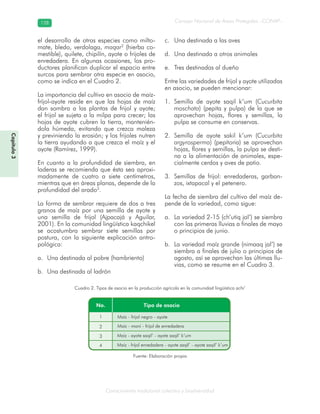 Conocimiento tradicional colectivo y biodiversidad
Consejo Nacional de Áreas Protegidas –CONAP–128128
Capítulo3
el desarrollo de otras especies como milto-
mate, bledo, verdolaga, maqar2
(hierba co-
mestible), quilete, chipilín, ayote o frijoles de
enredadera. En algunas ocasiones, los pro-
ductores planifican duplicar el espacio entre
surcos para sembrar otra especie en asocio,
como se indica en el Cuadro 2.
La importancia del cultivo en asocio de maíz-
fríjol-ayote reside en que las hojas de maíz
dan sombra a las plantas de frijol y ayote;
el frijol se sujeta a la milpa para crecer; las
hojas de ayote cubren la tierra, mantenién-
dola húmeda, evitando que crezca maleza
y previniendo la erosión; y los frijoles nutren
la tierra ayudando a que crezca el maíz y el
ayote (Ramírez, 1999).
En cuanto a la profundidad de siembra, en
laderas se recomienda que ésta sea aproxi-
madamente de cuatro a siete centímetros,
mientras que en áreas planas, depende de la
profundidad del arado3
.
La forma de sembrar requiere de dos a tres
granos de maíz por una semilla de ayote y
una semilla de frijol (Ajpacajá y Aguilar,
2001). En la comunidad lingüística kaqchikel
se acostumbra sembrar siete semillas por
postura, con la siguiente explicación antro-
pológica:
Una destinada al pobre (hambriento)a.
Una destinada al ladrónb.
Una destinada a las avesc.
Una destinada a otros animalesd.
Tres destinadas al dueñoe.
Entre las variedades de frijol y ayote utilizadas
en asocio, se pueden mencionar:
Semilla de ayote saqil k’um (1. Cucurbita
moschata) (pepita y pulpa) de la que se
aprovechan hojas, flores y semillas, la
pulpa se consume en conservas.
Semilla de ayote sakil k’um (2. Cucurbita
argyrosperma) (pepitoria) se aprovechan
hojas, flores y semillas, la pulpa se desti-
na a la alimentación de animales, espe-
cialmente cerdos y aves de patio.
Semillas de frijol: enredaderas, garban-3.
zos, ixtapacal y el petenero.
La fecha de siembra del cultivo del maíz de-
pende de la variedad, como sigue:
La variedad 2-15 (ch’utiq jal’) se siembraa.
con las primeras lluvias a finales de mayo
o principios de junio.
La variedad maíz grande (nimaaq jal’) seb.
siembra a finales de julio o principios de
agosto, así se aprovechan las últimas llu-
vias, como se resume en el Cuadro 3.
Cuadro 2. Tipos de asocio en la producción agrícola en la comunidad lingüística achi’
Fuente: Elaboración propia
 