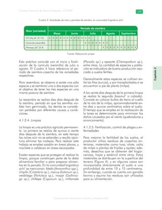 Conocimiento tradicional colectivo y biodiversidad
Consejo Nacional de Áreas Protegidas –CONAP– 129
Capítulo3
Esta práctica coincide con el inicio y finali-
zación de la canícula (veranillo) de julio a
agosto. El Cuadro 4 hace referencia al pe-
ríodo de siembra-cosecha de las variedades
respectivas.
Para resembrar, se observa si existe una sola
especie y se siembran una o dos especies con
el objetivo de tener las tres especies en una
misma postura de siembra.
La resiembra se realiza diez días después de
la siembra, período en que las semillas via-
bles han germinado, las demás se conside-
ran perdidas por diferentes causas y condi-
ciones.
4.1.2.4. Limpias
La limpia es una práctica agrícola permanen-
te. La primera se realiza de quince a veinte
días después de la siembra, en este tiempo
las raíces aún no se extienden y resulta opor-
tuno eliminar las malezas. Para realizar este
trabajo se emplea azadón en áreas planas, y
machete o calabozo en áreas escarpadas.
Existen especies que se protegen al realizar la
limpia, porque constituyen parte de la dieta
alimenticia familiar o para preparar alimen-
tos en la parcela. En la comunidad lingüística
achi’ se mencionan: bledo (Amaranthus spp.),
chipilín (Crotolaria sp.), macuy (Solanum sp.),
verdolaga (Portulaca sp.), maqar (Gallinso-
ga sp.), chiltepe (Capsicum sp.), miltomate
(Physalis sp.) y apazote (Chenopodium sp.),
entre otras. La cantidad de especies y pobla-
ción es indicadora de buena producción aso-
ciada a suelos fértiles.
Generalmente estas especies se cultivan en-
tre las filas (surcos), y son transplantadas si se
encuentran a pie de planta (milpa).
A los veinte días después de la primera limpia
se realiza la segunda (kaamul’ o calzado).
Consiste en colocar bultos de tierra al cuello
de la raíz de la milpa, aproximadamente en-
tre diez y quince centímetros sobre el suelo.
El tiempo que se emplea en la realización de
la tarea es determinante para minimizar los
daños causados por el viento (quebraduras y
arrancamiento).
4.1.2.5. Fertilización, control de plagas y en-
fermedades
Para mejorar la fertilidad de los suelos, el
productor utiliza residuos de cosechas an-
teriores, materiales como tusa, olote, caña
de milpa o plantas de frijoles y ayotes; ade-
más, desechos que se obtienen del hogar:
cenizas, hojas y estiércol entre otros. Estos
materiales se distribuyen en la superficie del
terreno (Figura 4), y en algunos casos son
incorporados directamente al suelo a una
profundidad de entre 10 y 15 centímetros.
Sin embargo, cuando se cuenta con ganado
bovino y equino los residuos son utilizados
para su alimentación.
Cuadro 3. Variedades de maíz y períodos de siembra, en comunidad lingüística achi’
Fuente: Elaboración propia
 