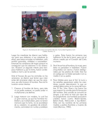 Conocimiento tradicional colectivo y biodiversidad
Consejo Nacional de Áreas Protegidas –CONAP– 143
Capítulo3
Luego los creadores les dijeron que habla-
ran para que alabaran a sus creadores (a
ellos), pero estos animales no hablaban, sólo
emitían graznidos, chillaban o cacareaban.
Entonces los cambiaron de hogar porque no
conseguían que los adoraran ni los venera-
ran. Hicieron un segundo intento pero tam-
poco hablaron y, por lo tanto, fueron conde-
nados a morir y ser la comida.
Ante el fracaso de que los animales no los
veneraran, se dijeron que tenían que crear
antes del amanecer algún ser que los vene-
rara, por ello hicieron al hombre. Para tal fin
tuvieron varios intentos:
Crearon al hombre de barro, pero éste1.
no se podía sostener, no podía andar ni
multiplicarse y se deshizo.
Luego trataron con madera, lo cual fue2.
un gran avance, ya que los hombres ha-
blaban y se multiplicaban, pero no tenían
memoria (por lo tanto, no se acordaban
de su creador), no gozaban de entendi-
miento, caminaban sin rumbo y andaban
a gatas. Éstos fueron los primeros que
habitaron la faz de la tierra, pero con el
diluvio creado por el Corazón del Cielo
murieron.
De tz’ite se hizo el hombre y la mujer, pero3.
éstos no pensaban ni hablaban. Fueron
aniquilados con resina y fueron desfigu-
rados por las piedras de moler. Esto fue
en castigo por no haber pensado ni en su
madre ni en su padre.
Poco faltaba para que el Sol, la Luna y4.
las estrellas aparecieran sobre los crea-
dores cuando descubrieron lo que en
verdad debía entrar en la carne del hom-
bre. El Yac, Utiw, Quej y Joj fueron los
que trajeron la comida para la formación
del hombre. Esta comida se convirtió en
sangre, y así entro el maíz por obra de
los progenitores. Los hombres que fueron
creados fueron cuatro: Balam-Quitze,
Balam-Acab, Mahucutah e Iqui-Balam.
Éstos son los nombres de las primeras
madres y padres (hombres y mujeres de
maíz) (Recinos, 1984).
Figura 6. Dramatización de la danza de siembra del maíz. Comunidad lingüística mam
Crédito: Romero, O.
 