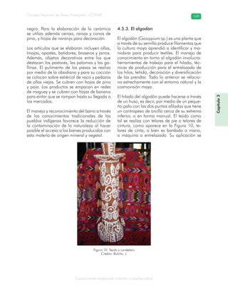 Conocimiento tradicional colectivo y biodiversidad
Consejo Nacional de Áreas Protegidas –CONAP– 149
Capítulo3
negro. Para la elaboración de la cerámica
se utiliza además ceniza, ramas y conos de
pino, y hojas de naranja para decoración.
Los artículos que se elaboran incluyen ollas,
tinajas, apastes, batidores, braseros y jarros.
Además, objetos decorativos entre los que
destacan los pastores, las palomas y las ga-
llinas. El pulimento de las piezas se realiza
por medio de la obsidiana y para su cocción
se colocan sobre estiércol de vaca y pedazos
de ollas viejas. Se cubren con hojas de pino
y paja. Los productos se empacan en redes
de maguey y se cubren con hojas de banano
para evitar que se rompan hasta su llegada a
los mercados.
El manejo y reconocimiento del barro a través
de los conocimientos tradicionales de los
pueblos indígenas favorece la reducción de
la contaminación de la naturaleza al hacer
posible el acceso a los bienes producidos con
esta materia de origen mineral y vegetal.
4.5.3. El algodón
El algodón (Gossypium sp.) es una planta que
a través de su semilla produce filamentos que
la cultura maya aprendió a identificar y ma-
niobrar para producir textiles. El manejo de
conocimiento en torno al algodón involucra:
herramientas de trabajo para el hilado, téc-
nicas de producción para el entrelazado de
los hilos, teñido, decoración y diversificación
de las prendas. Todo lo anterior se relacio-
na estrechamente con el entorno natural y la
cosmovisión maya.
El hilado del algodón puede hacerse a través
de un huso, es decir, por medio de un peque-
ño palo con las dos puntas afiladas que tiene
un contrapeso de arcilla cerca de su extremo
inferior, o en forma manual. El tejido como
tal se realiza con telares de pie o telares de
cintura, como aparece en la Figura 10, te-
lares de cinta, o bien es bordado a mano,
a máquina o entrelazado. Su aplicación se
Figura 10. Tejido y candelero
Crédito: Bolvito, J.
 