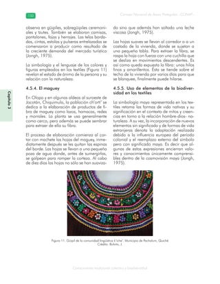 Conocimiento tradicional colectivo y biodiversidad
Consejo Nacional de Áreas Protegidas –CONAP–150150
Capítulo3
observa en güipiles, sobregüipiles ceremoni-
ales y tzutes. También se elaboran camisas,
pantalones, fajas y herrajes. Las telas borda-
das, cintas, estolas y pulseras entrelazadas se
comenzaron a producir como resultado de
la creciente demanda del mercado turístico
(Jongh, 1975).
La simbología y el lenguaje de los colores y
figuras empleados en los textiles (Figura 11)
revelan el estado de ánimo de la persona y su
relación con la naturaleza.
4.5.4. El maguey
En Olopa y en algunas aldeas al suroeste de
Jocotán, Chiquimula, la población ch’ortí’ se
dedica a la elaboración de productos de fi-
bra de maguey como lazos, hamacas, redes
y morrales. La planta se usa generalmente
como cerco, pero además se puede sembrar
para extraer de ella su fibra.
El proceso de elaboración comienza al cor-
tar con machete las hojas del maguey, inme-
diatamente después se les quitan las espinas
del borde. Las hojas se llevan a una pequeña
poza de agua donde, antes de sumergirlas,
se golpean para romper la corteza. Al cabo
de diez días las hojas no sólo se han suaviza-
do sino que además han soltado una leche
viscosa (Jongh, 1975).
Las hojas suaves se llevan al corredor o a un
costado de la vivienda, donde se sujetan a
una pequeña tabla. Para extraer la fibra, se
raspa la hoja con fuerza con una cuchilla que
se desliza en movimientos descendentes. Es
así como queda expuesta la fibra: unos hilos
finos y amarillentos. Ésta se tiende sobre el
techo de la vivienda por varios días para que
se blanquee, finalmente puede hilarse.
4.5.5. Uso de elementos de la biodiver-
sidad en los textiles
La simbología maya representada en los tex-
tiles retoma las formas de vida nativas y su
significación en el contexto de mitos y creen-
cias en torno a la relación hombre-dios- na-
turaleza. A su vez, la incorporación de nuevos
elementos sin significado y de formas de vida
extranjeras denota la adaptación realizada
debido a la influencia europea del período
colonial y el reemplazo externo del símbolo
pero con significado maya. Es decir que al-
gunas de estas expresiones encierran valo-
res y conocimientos únicamente comprensi-
bles dentro de la cosmovisión maya (Jongh,
1975).
Figura 11. Güipil de la comunidad lingüística k’iche’. Municipio de Pachalum, Quiché
Crédito: Bolvito, J.
 