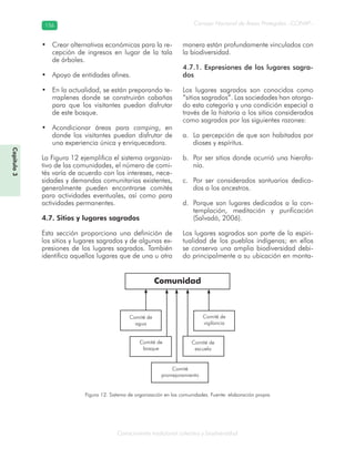 Conocimiento tradicional colectivo y biodiversidad
Consejo Nacional de Áreas Protegidas –CONAP–156156
Capítulo3
Crear alternativas económicas para la re-•
cepción de ingresos en lugar de la tala
de árboles.
Apoyo de entidades afines.•
En la actualidad, se están preparando te-•
rraplenes donde se construirán cabañas
para que los visitantes puedan disfrutar
de este bosque.
Acondicionar áreas para• camping, en
donde los visitantes puedan disfrutar de
una experiencia única y enriquecedora.
La Figura 12 ejemplifica el sistema organiza-
tivo de las comunidades, el número de comi-
tés varía de acuerdo con los intereses, nece-
sidades y demandas comunitarias existentes,
generalmente pueden encontrarse comités
para actividades eventuales, así como para
actividades permanentes.
4.7. Sitios y lugares sagrados
Esta sección proporciona una definición de
los sitios y lugares sagrados y de algunas ex-
presiones de los lugares sagrados. También
identifica aquellos lugares que de una u otra
manera están profundamente vinculados con
la biodiversidad.
4.7.1. Expresiones de los lugares sagra-
dos
Los lugares sagrados son conocidos como
“sitios sagrados”. Las sociedades han otorga-
do esta categoría y una condición especial a
través de la historia a los sitios considerados
como sagrados por las siguientes razones:
La percepción de que son habitados pora.
dioses y espíritus.
Por ser sitios donde ocurrió una hierofa-b.
nía.
Por ser considerados santuarios dedica-c.
dos a los ancestros.
Porque son lugares dedicados a la con-d.
templación, meditación y purificación
(Salvadó, 2006).
Los lugares sagrados son parte de la espiri-
tualidad de los pueblos indígenas; en ellos
se conserva una amplia biodiversidad debi-
do principalmente a su ubicación en monta-
Figura 12. Sistema de organización en las comunidades. Fuente: elaboración propia
Comunidad
Comité de
agua
Comité de
vigilancia
Comité de
escuela
Comité
promejoramiento
Comité de
bosque
 