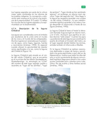 Conocimiento tradicional colectivo y biodiversidad
Consejo Nacional de Áreas Protegidas –CONAP– 159
Capítulo3
Los lugares sagrados son parte de la cultura
maya, están nombrados en los idiomas de
los pueblos indígenas. Su concepción y valo-
ración está inmersa en la cultura y las prácti-
cas de la espiritualidad. El Cuadro 15 refleja
los vínculos de los lugares sagrados y la espi-
ritualidad con la biodiversidad.
4.7.4. Descripción de la laguna
Chikab’al
Las aguas son consideradas como el símbolo
por excelencia de la unión entre el mundo
de los vivos y el mundo de los antepasados.
Muchos lugares son venerados por la presen-
cia de agua, como lagos, lagunas, fuentes
y nacimientos (Jiménez, 1995). En especial
cuando ofrecen la peculiaridad de mezclar
varios significados a la vez, como la laguna
del Chikab’al (Figura 14).
La laguna Chikab’al está situada en el crá-
ter del volcán Chikab’al, que se encuentra
en el municipio de San Martín Sacatepéquez,
Quetzaltenango. La etimología en k’iche’
del nombre de este lugar sagrado insólito y
recóndito es “lugar de las semillas”, “lugar
de sembrar”, “lugar donde se han sembrado
estacas”; sin embargo, en idioma mam sig-
nifica “lugar del segundo hijo”. Para llegar a
la laguna es necesario ascender una cumbre
–la del volcán Chikab’al–, lo que metafóri-
camente significa ascender a los cielos y lue-
go descender al inframundo a través de sus
aguas (Jiménez, 1995).
La laguna Chikab’al tiene al frente la eleva-
ción llamada Tuigucxcingán en idioma mam,
y en k’iche’, Vucxiquín que significa en am-
bos idiomas “siete orejas”. Cuentan los ajq’ij
y guardianes de esta laguna que constituye la
puerta de entrada al Corazón del Cielo y es
el lugar sagrado donde habitan las ánimas,
entrada también al inframundo o Xibalbá.
En la laguna Chikab’al se realizan ceremo-
nias destinadas a cargar de fuerza y sacrali-
dad a los guías espirituales o ajq’ij del sur de
Mesoamérica. Implica que todos los días del
año un aj kin proveniente de alguna comuni-
dad lingüística llega para ofrecer a los cuatro
puntos cardinales pom y plantas como ruda,
chilca, flor de muerto y otras hierbas sacras
(Jiménez, 1995).
Figura 14. Laguna Chikab’al, San Martín Sacatepéquez, Quetzaltenango
Crédito: Romero, O.
 