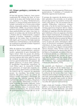 Diversidad de ecosistemas en Guatemala
Consejo Nacional de Áreas Protegidas –CONAP–194194
eemm aale mac eGe ac mGne Gn Gsi emGaseem ais a laaee dD ecd e maasdd div sid deders seda cosDi stee ed d atGua m aate lama
Capítulo4
4.2. Origen geológico y corrientes mi-
gratorias
Al final del período Cretácico, hace aproxi-
madamente 80 millones de años, el movi-
miento de la placa del Caribe hacia el este,
con respecto a la placa Norteamericana,
produjo un choque frontal entre terrenos con
corteza continental en el límite entre ambas
placas, originando cadenas montañosas (Itu-
rralde-Vinent, 2006). Las primeras áreas del
territorio actual guatemalteco fueron poblán-
dose gradualmente por seres vivos que mi-
graron, en ambas vías, de América del Norte
y América del Sur. Posteriormente, surgieron
especies o ecotipos –vegetales y animales–
algunos de las cuales viven únicamente en
esta región, por lo que son llamadas especies
endémicas. Centroamérica, y así Guatemala,
se constituyó en parte del corredor migratorio
de ambos hemisferios.
Miles de especies han poblado a través del
tiempo el istmo centroamericano, evolucio-
nando y generando la gran diversidad bio-
lógica actual. Entre los grupos de plantas,
componentes de los ecosistemas guatemalte-
cos que migraron del norte, están la mayoría
de coníferas (exceptuando Podocarpus), los
encinos (aproximadamente 28 especies del
género Quercus), el sauce (Salix chilensis),
el liquidámbar (Liquidambar styraciflua), la
mora (Rubus spp.), la manzanilla (Cratae-
gus pubescens), el nogal (dos especies, en-
tre ellas Juglans steyermarkii) y muchas otras.
De América del Sur migraron los siguientes
grupos: las orquídeas, los amates (varias
especies del género Ficus), las palmas de
bosque, familia Arecaceae o Palmaceae, las
sapotáceas, los helechos gigantes (familia
Cyatheaceae, géneros Cyathea y Alsophyla),
los cedros (familia Meliaceae) y muchos ár-
boles tropicales de madera preciosa, como
el palo blanco (Cybistax donnell-smithii), la
caoba (Swietenia spp.), el conacaste (Ente-
rolobium cyclocarpum), etc. La única familia
de gimnospermas que emigró del sur, la Po-
docarpaceae, tiene tres especies (Podocarpus
guatemalensis, P. oleifolios y P. matudai) en
diferentes regiones de Guatemala.
El proceso de migración de plantas es tam-
bién aplicable a los animales, en el sentido
de que algunos de sus ancestros vinieron del
norte y otros del sur. Así, los ancestros de los
venados (Odocoileus virginianus) vinieron
del norte, y los de los osos hormigueros (Ta-
mandua mexicana) emigraron del sur. Según
Land (1970), muchas especies de aves tienen
afinidad con especies o familias del norte (re-
gión holártica) y otras con especies o familias
del sur (región neotropical). Sin embargo, hay
algunas especies encontradas únicamente en
las zonas altas del extremo sureste de México
(Chiapas) y el noroeste de Guatemala, tales
como el pavo de cacho (Oreophasis derbi-
anus), el chinchivirín montañero (Troglodytes
rufociliatus), el chipe rosado o platinado (Er-
gaticus versicolor) y el jilguero encapuchado
(Spinus atriceps). Estas “formas únicas” que
ocurren solamente en las tierras altas del sur
de México y Guatemala, son presumiblemen-
te endémicas debido a su aislamiento en los
procesos geológicos del pasado; las partes
más altas de Guatemala han estado dispo-
nibles para plantas y animales desde el final
del Cretácico, hace aproximadamente 65
millones de años (Land, 1970).
De acuerdo con Eisermann y Avendaño
(2006), la avifauna de las tierras bajas de
Guatemala está íntimamente relacionada
con la avifauna sudamericana, mientras que
la avifauna de las tierras altas tiene mayor
influencia de la avifauna norteamericana. Por
otro lado, aproximadamente 9%, es decir, 22
especies de aquellas que anidan en tierras
altas de Guatemala son endémicas en las tie-
rras altas del norte de Centroamérica.
Engler, citado por Cabrera y Willink (1980),
definió y caracterizó siete grandes territorios
florales para el globo terráqueo. Con base
en ese criterio, Guatemala está ubicada en
 